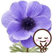 017