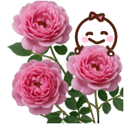 024