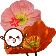 028