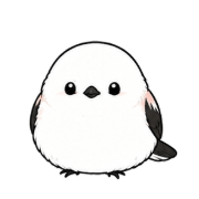 003