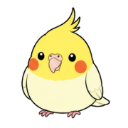 005