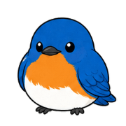 031