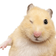 026