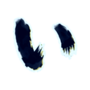 048