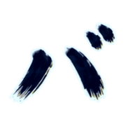 151