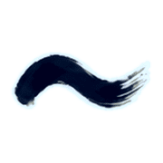 224