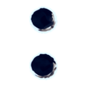 244