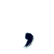 245