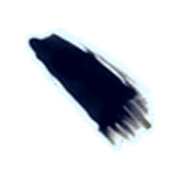256