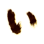048