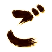 060