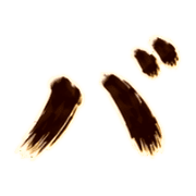 151