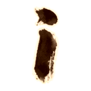 035