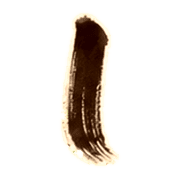 038