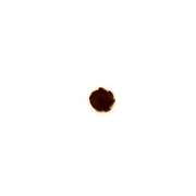 092