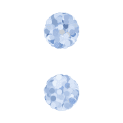 244