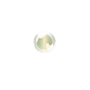 253