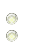 244