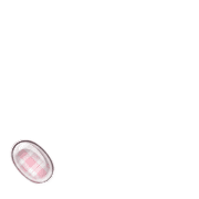 256