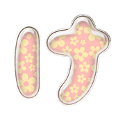 009