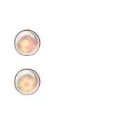 244