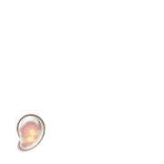 245