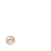 246