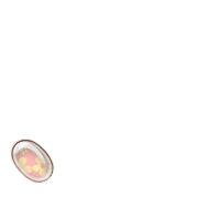 256