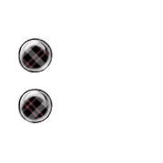 244