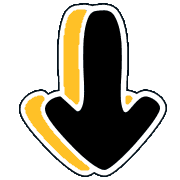261