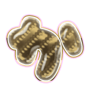 006