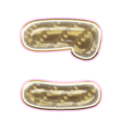 010