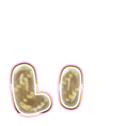 048