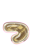 052