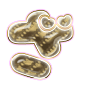 061