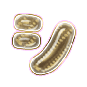 092