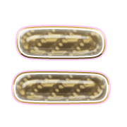 102