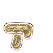127