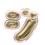 142