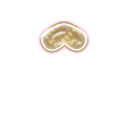 231