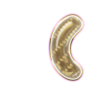 234