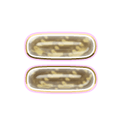 239