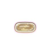 251