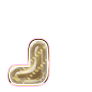 255