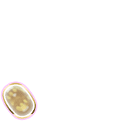 256