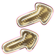 271