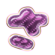 011