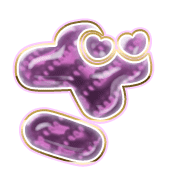 061