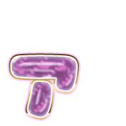 127