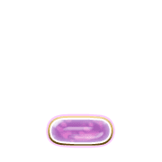 250